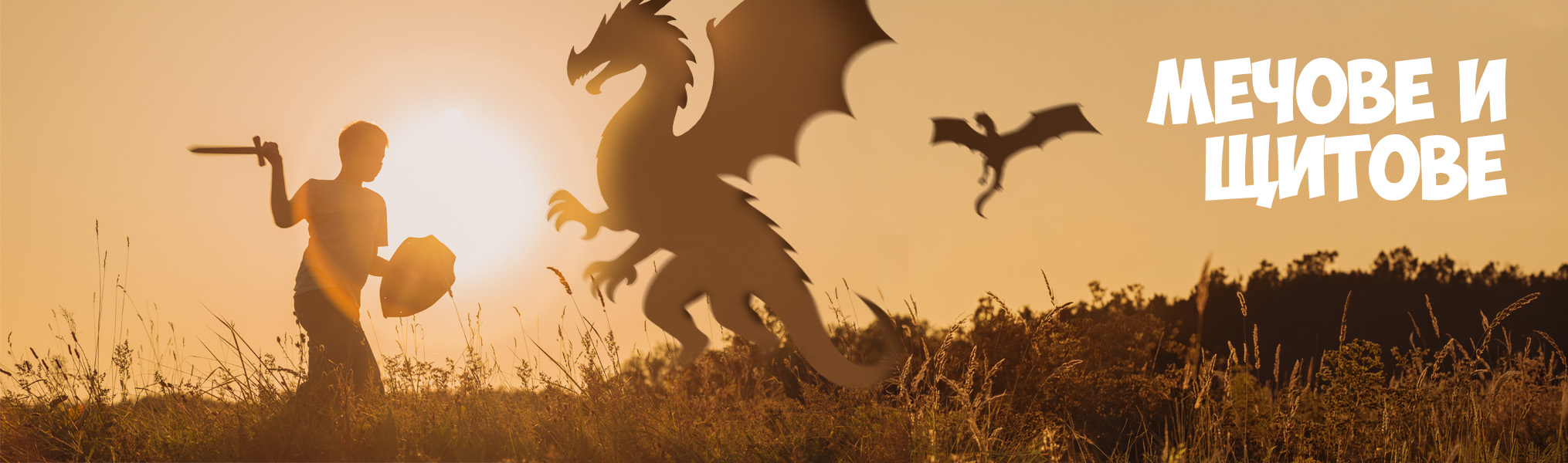 Мечове и щитове