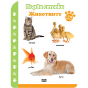 ИК ПАН Първи стъпки. Животните (12-18 месеца)