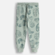Coccodrillo Спортен панталон Sage time Kids 92-122