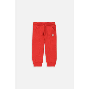 Coccodrillo Спортно долнище Underwater Newborn червено 62-86