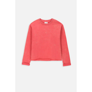 Coccodrillo Суитшърт Ocean Wonders Junior 128-164