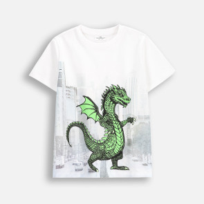 Coccodrillo Тениска Dragon boy Junior 128-164