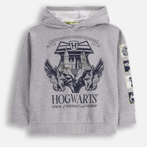 Coccodrillo Суитшърт Licence Boy Warner Bros 128-164