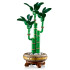 LEGO Botanicals Бамбук за късмет 10344