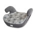 LORELLI Classic Седалка за кола 15-36кг TEDDY GREY STARS