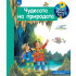 ФЮТ Защо? Какво? Как? Чудесата на природата