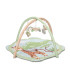 LORELLI Toys Активна гимнастика SAFARI FRIENDS GIRAFFE GREEN