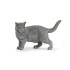 PAPO Фигурка котка шартрьо