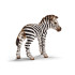 SCHLEICH Фигурка Зебра-Бебе