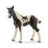 SCHLEICH Фигурка ПИНТО КОНЧЕ