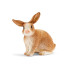 SCHLEICH Фигурка ЗАЕК