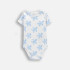 Coccodrillo Боди Nice to see you Boy Newborn WC6112206NBN 62-86
