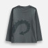 Coccodrillo Блуза Rebel knight Boy Kids ZC6143101RBK 92-122