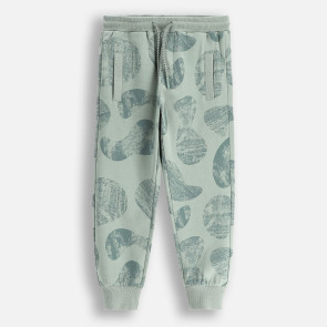 Coccodrillo Спортен панталон Sage time Kids 92-122