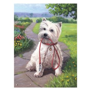 Royal Комплект за рисуване Junior с акрилни бои Кученце