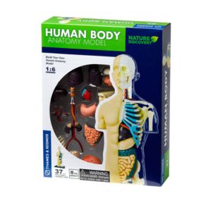 Thames & Kosmos - Конструирай модел на човешкото тяло 260830