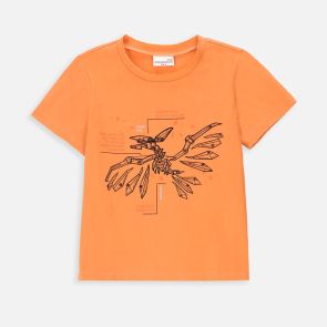 Coccodrillo Тениска DESERT EXPLORER KIDS птица 92-122