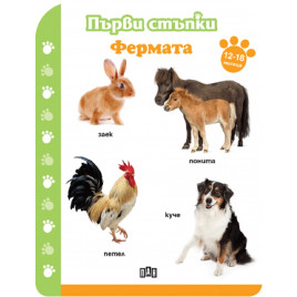 ИК ПАН Първи стъпки. Фермата 12-18 месеца