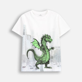 Coccodrillo Тениска Dragon boy Junior 128-164