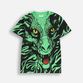 Coccodrillo Тениска Dragon boy Junior 128-164