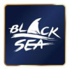 Black Sea Puzzles