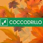 Избери 2 или повече артикула от новата колекция на Coccodrillo Есен-Зима 2021, вземи 20% отстъпка!