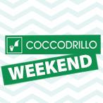  COCCODRILLO WEEKEND в ХИПОЛЕНД! 