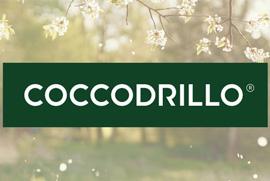 Вземи 3 или повече артикула с марка Coccodrillo с 20% отстъпка.