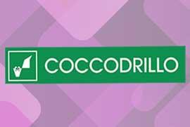 Избери 2 или повече артикула от колекция Есен – Зима 2023/2024 на Coccodrillo, вземи 15% отстъпка!