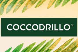Избери 3 или повече артикула с марка Coccodrillo и вземи 20% отстъпка!