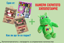 Общи условия на играта „Намери скритото хипопотамче“ на 11.09.25 Holiday Park Sofia