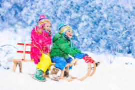Детска шейна за зимни приключения: какво трябва да знаете преди покупка