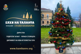 Украси елха и на дете подай ръка